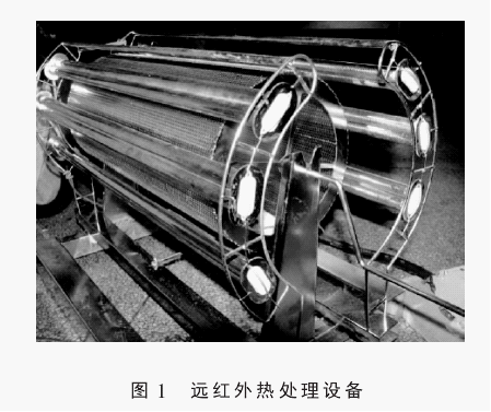 远红外热处理仪